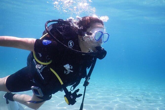 3 Hour Private Scuba Diving Experience - The Sum Up: Who Should Sign Up for This Experience?