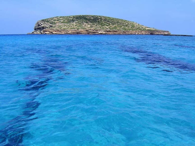 3-Hour Private Sunset Snorkel Boat for Large Groups - Key Points