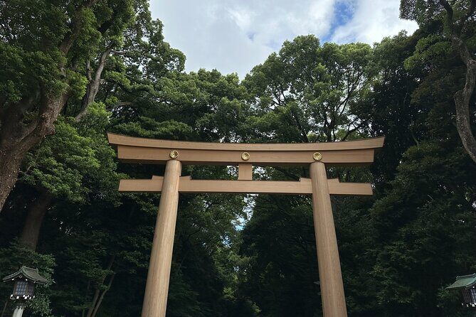 3 Hour Private Tokyo Meiji Jingu Shrine Wellness Tour - Engaging First Impressions