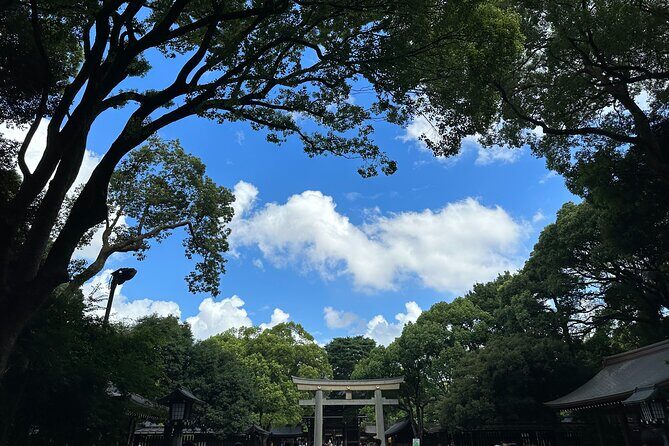 3 Hour Private Tokyo Meiji Jingu Shrine Wellness Tour - Who Will Love This Tour?