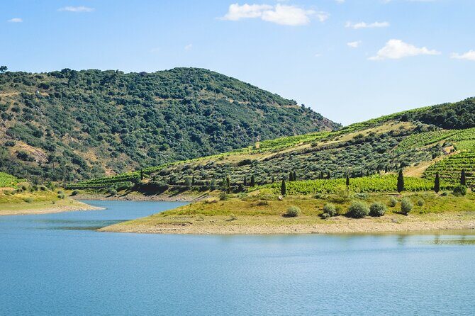 3-Hour Private Wine Tasting in Quinta da Vineadouro with Lunch - Final Thoughts: Is It Worth It?