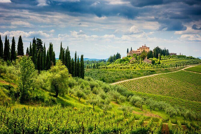 3-Hour Private Wine Tasting Tour in Florence with a Wine Expert - FAQ: Practical Questions Answered