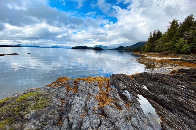 3-Hour Rainforest, Beach & Wildlife Walk - Experience the Untamed Beauty of Ketchikan in Just 3 Hours