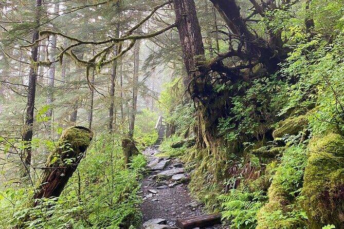 3-Hour Rainforest, Beach & Wildlife Walk - Key Points