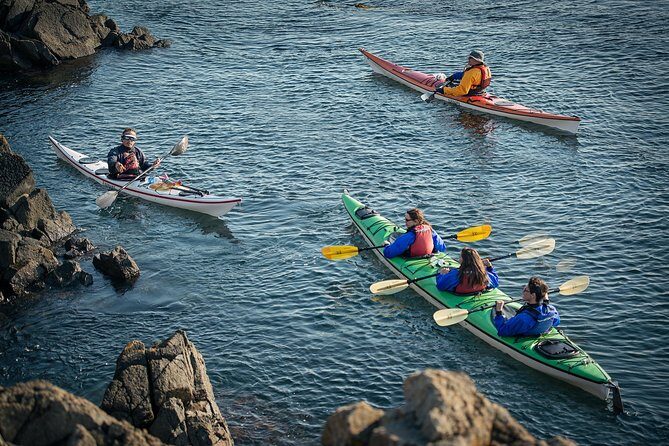 3-Hour Sea Kayak Tour in the San Juan Islands - A Close-Up Look at the San Juan Islands by Kayak
