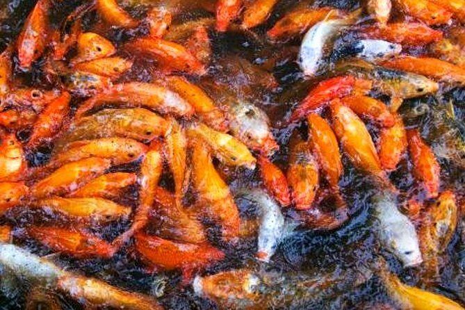 3-Hour Shanghai Jade Buddha Temple Tour with Calligraphy Experience - FAQ