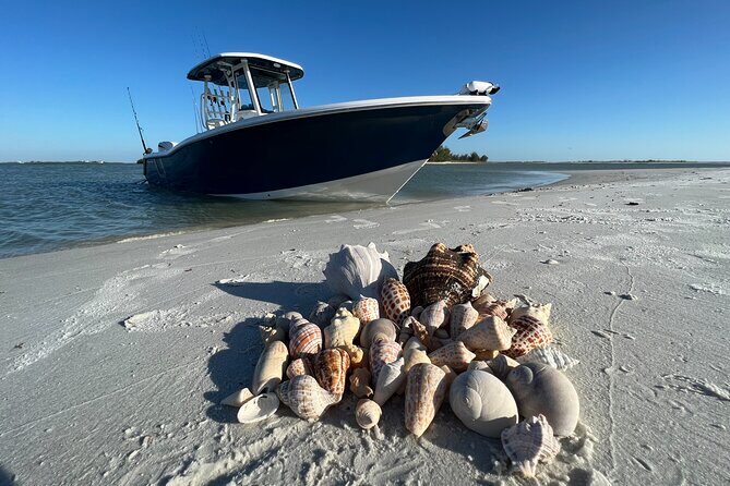 3 Hour Shelling Tour in Marco Island - Exploring the 3-Hour Shelling Tour in Marco Island: A Practical Guide