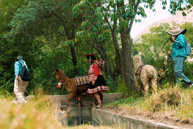 3-Hour Small-Group Hiking with Alpaca in Sacred Valley - Final Thoughts: Who Will Love This?
