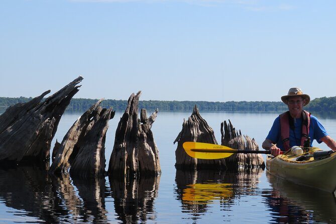 3 Hour Small Group Lake Norris Kayak Activity - Authentic Experiences and Real Reviews