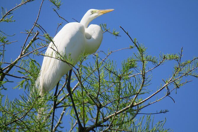3 Hour Small Group Lake Norris Kayak Activity - FAQ