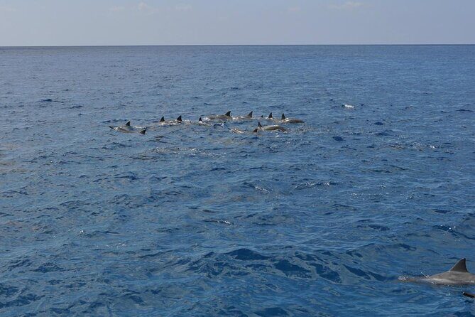 3-Hour Small-Group Maalaea Luxury Snorkel Cruise Tour - Final Thoughts
