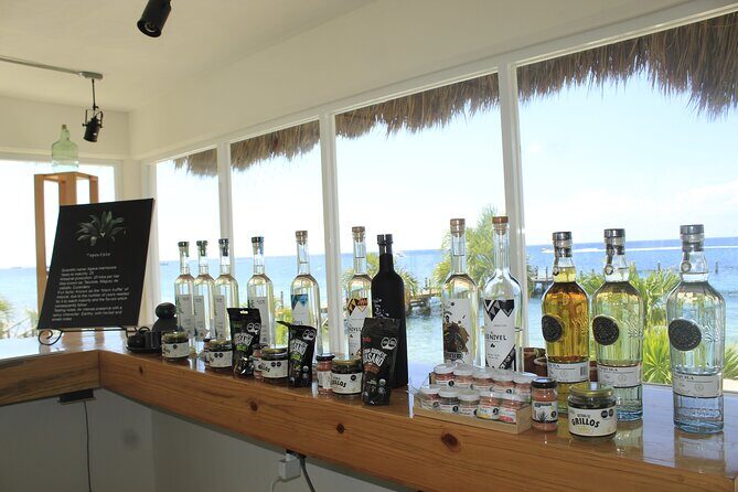 3-Hour Small-Group Mezcal and Tequila Tasting activity from Cozumel - The Sum Up