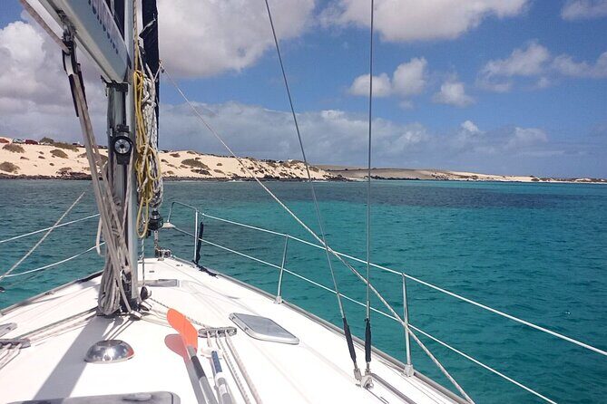 3-Hour Small-Group Sailing Tour around the Lobos Island - Why We Think It’s a Great Choice