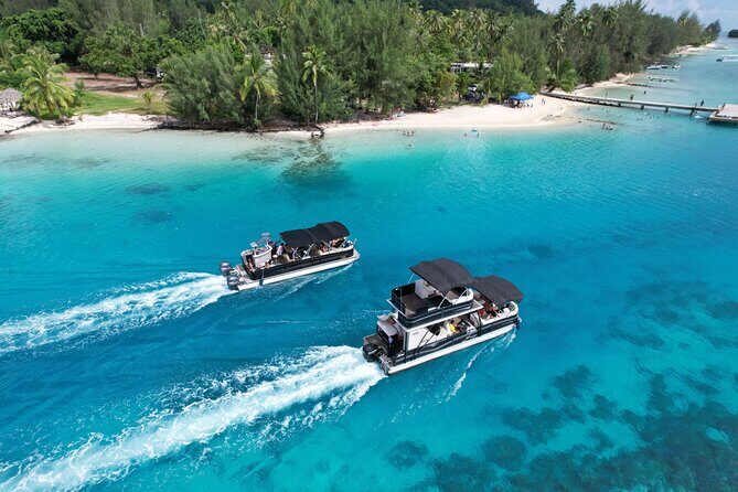 3-Hour Snorkeling Tour - An In-Depth Look at What to Expect