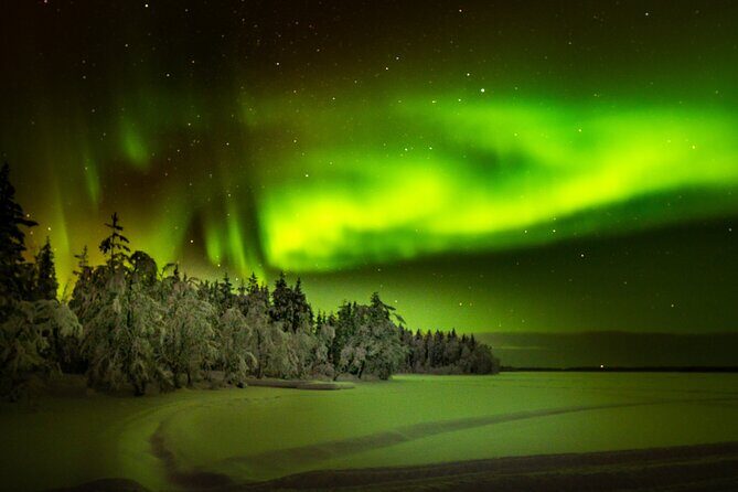 3-Hour Snowmobile Safari to Search Northern Lights in Levi - The Sum Up
