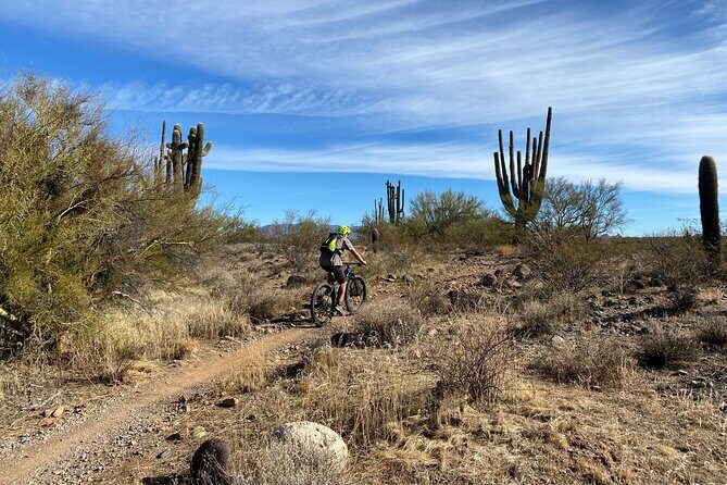 3 Hour Sonoran Desert Private Guided Mountain Bike Tour - Why This Tour Offers Good Value