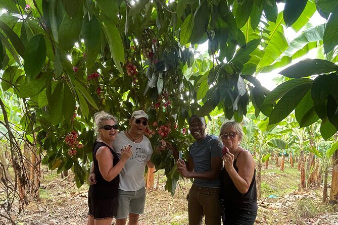 3-Hour St. Lucia Island Tour with Zero Entry Free - A Closer Look at the 3-Hour St. Lucia Island Tour