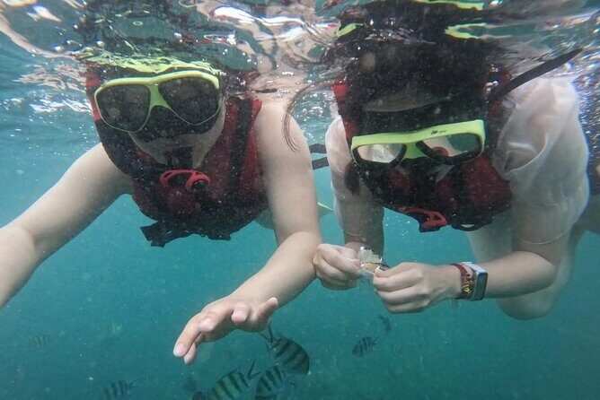 3 Hour Sunset Cruise to Shell Island - Frequently Asked Questions