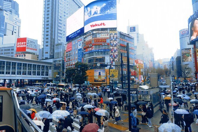 3 Hour Tokyo Roof Bus Tour with a Licensed Guide - Key Points