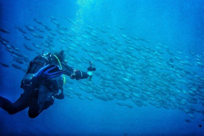 3-Hour Try Scuba Private Guided Sea Baptism from Palermo - Key Points