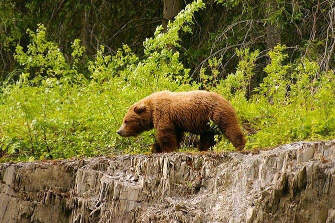 3-hour Turnagain Pass Rafting Float Trip from Hope Alaska - The Value of a Scenic, Relaxed Float