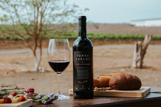 3-Hour Vineyard Wine Tour with Tasting - Key Points