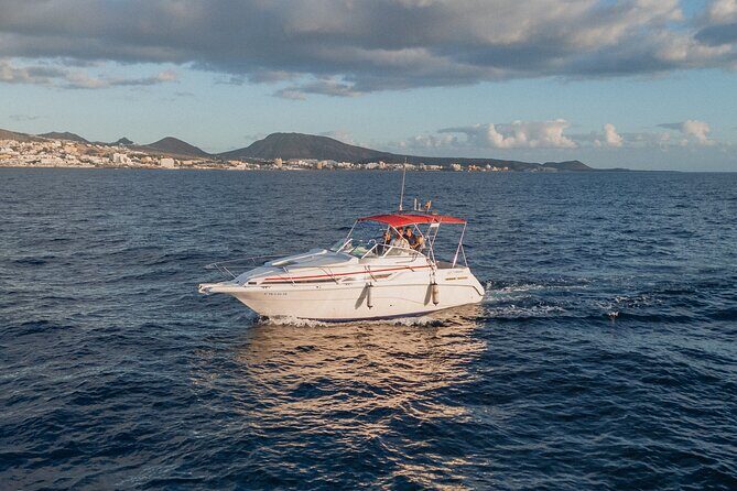 3 Hour VIP Private Luxury Boat Charter in Tenerife - A Closer Look: What Makes This Tour Special