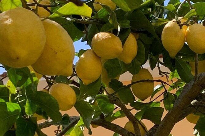 3 Hour Walking Tour of Sorrento with Local Food Tasting - Exploring Sorrento: A Deep Dive into the 3-Hour Walk and Tasting Tour
