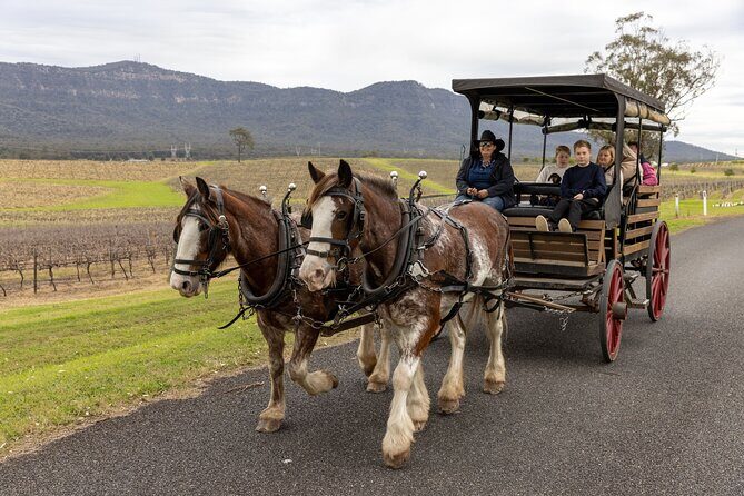 3- Hour Wine and Harvest the Hunter Horse Tour in Pokolbin - A Charming Way to Explore Hunter Valleys Wineries