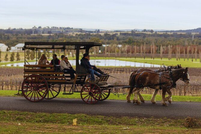 3- Hour Wine and Harvest the Hunter Horse Tour in Pokolbin - FAQs