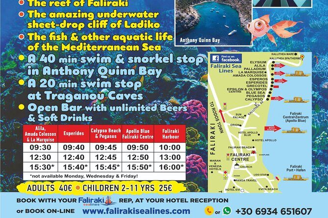 3 Hour Yellow Semi Submarine Swimming Cruise with Drinks Included! - Who is This Tour Best For?