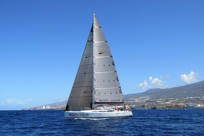 3 Hours All Inclusive Whale and Dolphin Whatching Yacht Trip - A Closer Look at the Itinerary and Experience