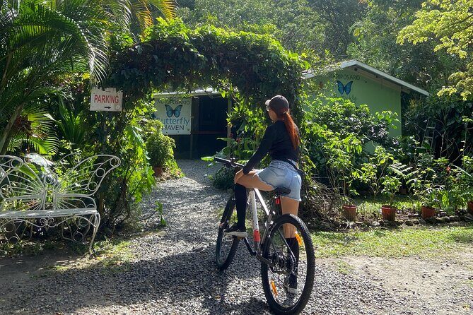 3 Hours Bike Rentals in Valle de Anton 9 am to 12 pm - The Full Experience: What to Expect on Your Valle de Anton Bike Ride
