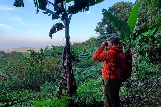 3 Hours Bird Watching Guided Experience in Bajo Cebadilla - A Close-Up Look at the 3-Hour Bird Watching Guided Experience in Bajo Cebadilla