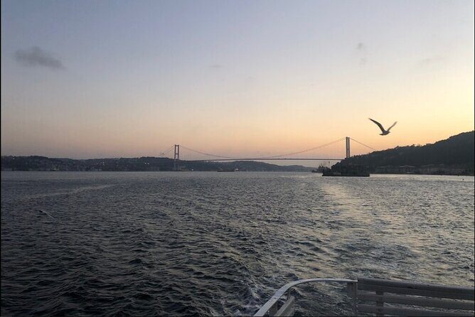 3 Hours Bosphorus Boat Cruise with Stop in Asia Side - Final Thoughts