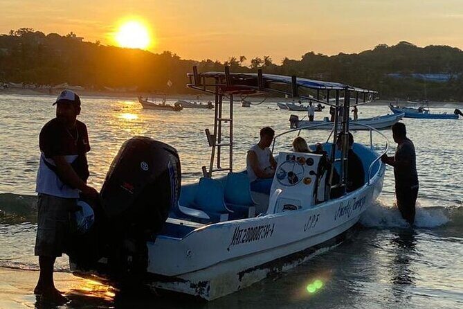 3-Hours Dolphin and Turtle Watching in Puerto Escondido - The Sum Up: Who Should Consider This Tour?