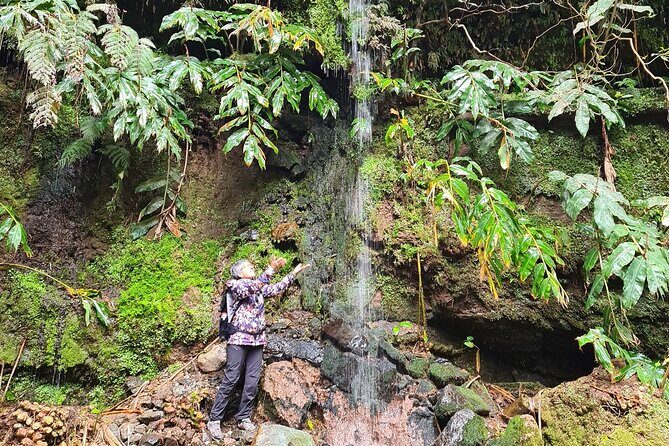 3 Hours Guided Forest Bathing Hike in Portugal - In-Depth Look at the Itinerary
