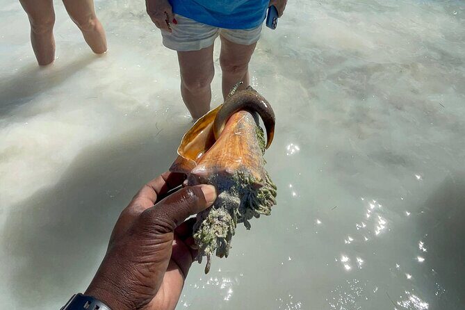 3 Hours Guided Great Exuma ATV Tour - The Heart of the Adventure: What to Expect