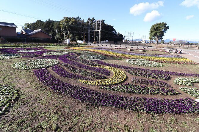 3 Hours Historical Tour of Princess Saio on an Electric Cart - The Ride: An Electric Cart Through History