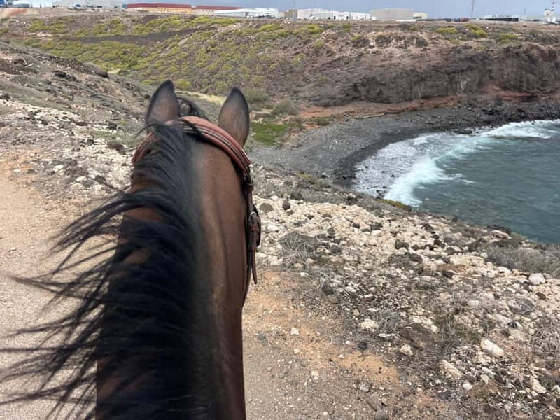 3 hours Horse Riding Tour to the Coast - An In-Depth Look at the 3-Hour Horse Riding Tour to the Coast