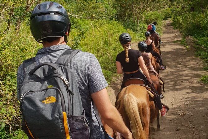 3 Hours Horseback Riding from Nature Trails to Sofa Stone - Practical Tips for Riders