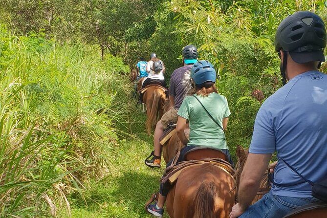 3 Hours Horseback Riding from Nature Trails to Sofa Stone - FAQ