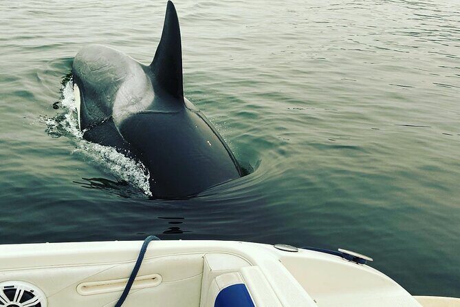3 Hours Indian Arm Waterfalls Boat Tour from Deep Cove - Who Should Consider This Tour?