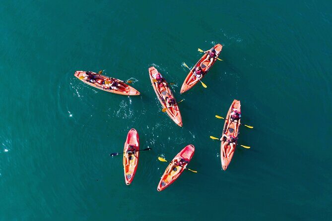3 Hours Kayaking in Kotor Bay in Montenegro - Discover the 3 Hours Kayaking in Kotor Bay — A Practical and Authentic Montenegrin Adventure
