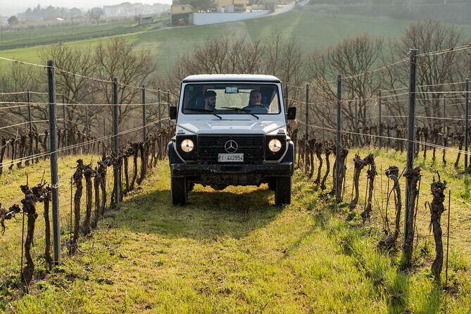 3-Hours of Activities with Safari Grand Tour and Tasting in Vineyards - In-Depth Look at the Tour Experience