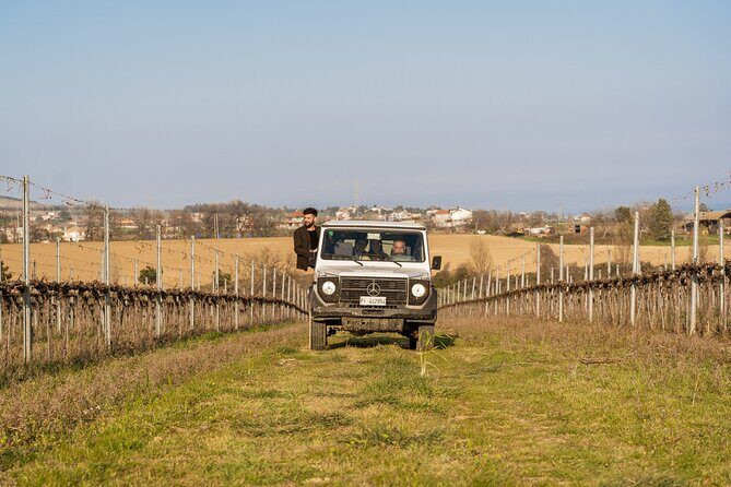 3-Hours of Activities with Safari Grand Tour and Tasting in Vineyards - Who Will Love This Tour?