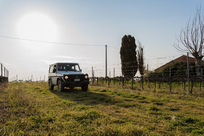 3-Hours of Activities with Safari Grand Tour and Tasting in Vineyards - FAQ