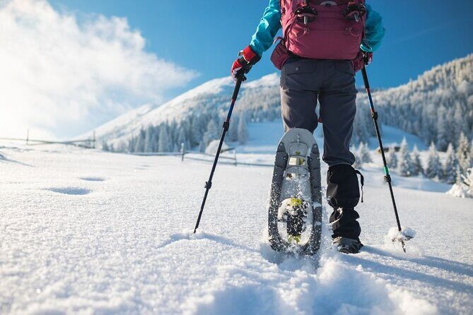 3 Hours of Snowshoeing with Alpine Guide in Val Brembana - Authentic Experiences and Traveler Reviews