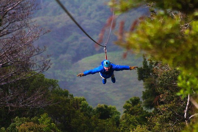 3 hours of the Longest and Highest Extreme Zip line Experience in Monteverde - The Details of the Zipline Experience