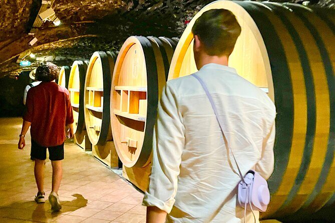 3 hours of Tour in the Wines of Châteauneuf-du-Pape - The Reviewers’ Perspective